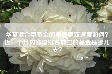 华夏混合型基金的净值更新速度如何？近一个月内涨幅排名前三的基金是哪几支？