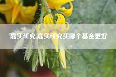 嘉实研究,嘉实研究买哪个基金更好