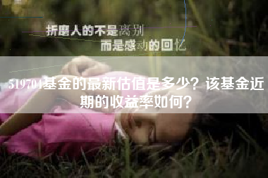519704基金的最新估值是多少？该基金近期的收益率如何？