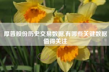 厚普股份历史交易数据,有哪些关键数据值得关注