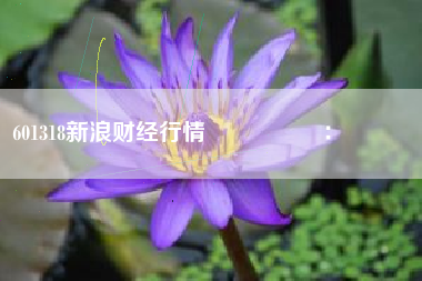 601318新浪财经行情اليوم：هلوصلإلىأدنىمستوىلهذاالعام؟