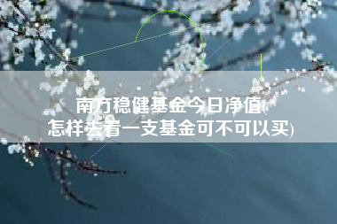 南方稳健基金今日净值(
怎样去看一支基金可不可以买)
