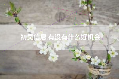 初灵信息,有没有什么好机会