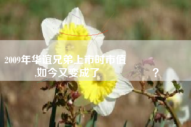 2009年华谊兄弟上市时市值कितनाथा,如今又变成了कितना？