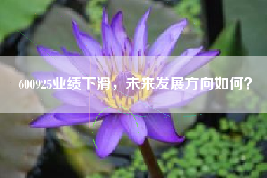 600925业绩下滑，未来发展方向如何？