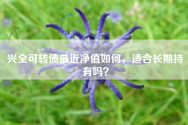 兴全可转债最近净值如何，适合长期持有吗？