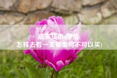 嘉实货币a净值(
怎样去看一支基金可不可以买)