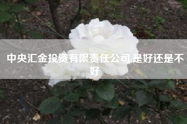 中央汇金投资有限责任公司,是好还是不好
