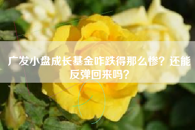 广发小盘成长基金咋跌得那么惨？还能反弹回来吗？