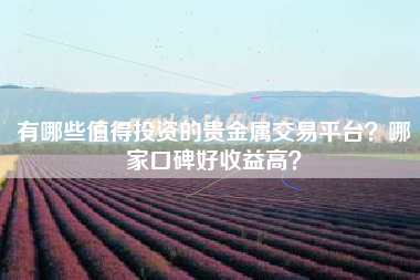 有哪些值得投资的贵金属交易平台？哪家口碑好收益高？