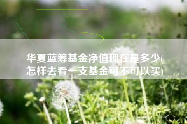 华夏蓝筹基金净值现在是多少(
怎样去看一支基金可不可以买)