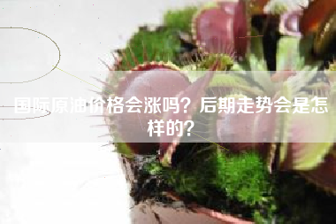 国际原油价格会涨吗？后期走势会是怎样的？