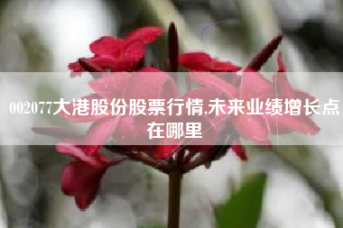 002077大港股份股票行情,未来业绩增长点在哪里