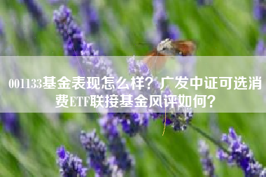 001133基金表现怎么样？广发中证可选消费ETF联接基金风评如何？
