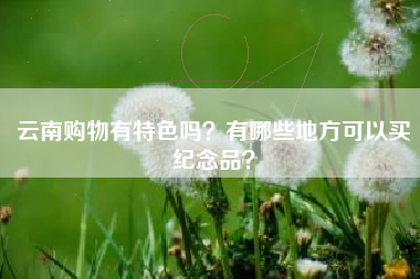 云南购物有特色吗？有哪些地方可以买纪念品？