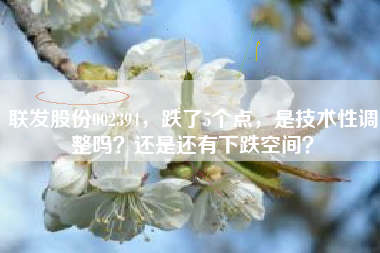 联发股份002394，跌了5个点，是技术性调整吗？还是还有下跌空间？