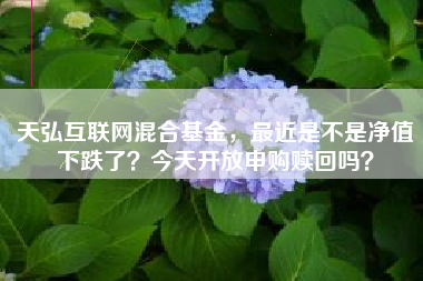 天弘互联网混合基金，最近是不是净值下跌了？今天开放申购赎回吗？