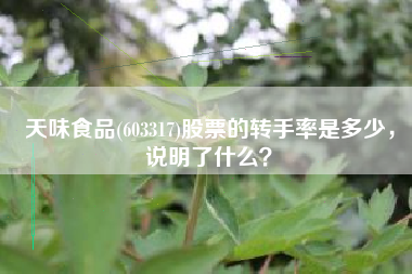 天味食品(603317)股票的转手率是多少，说明了什么？