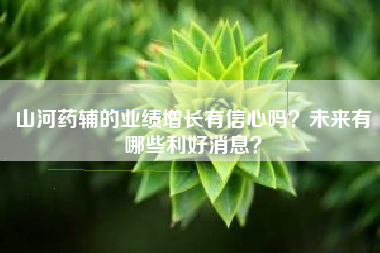 山河药辅的业绩增长有信心吗？未来有哪些利好消息？