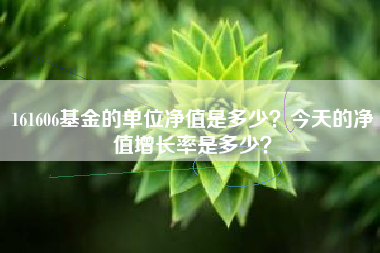161606基金的单位净值是多少？今天的净值增长率是多少？