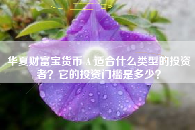 华夏财富宝货币 A 适合什么类型的投资者？它的投资门槛是多少？