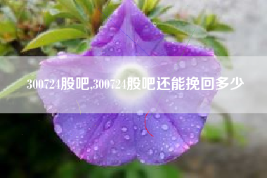 300724股吧,300724股吧还能挽回多少