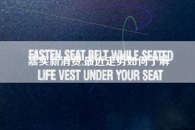 嘉实新消费,最近走势如何了解