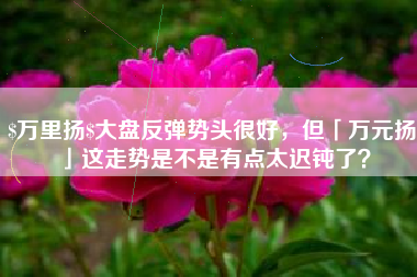 $万里扬$大盘反弹势头很好，但「万元扬」这走势是不是有点太迟钝了？