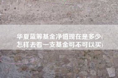 华夏蓝筹基金净值现在是多少(
怎样去看一支基金可不可以买)