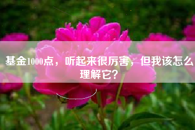 基金1000点，听起来很厉害，但我该怎么理解它？