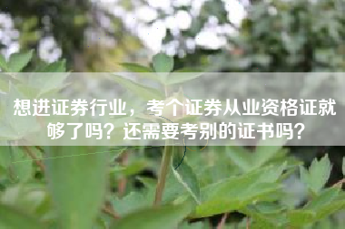 想进证券行业，考个证券从业资格证就够了吗？还需要考别的证书吗？