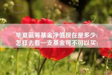 华夏蓝筹基金净值现在是多少(
怎样去看一支基金可不可以买)