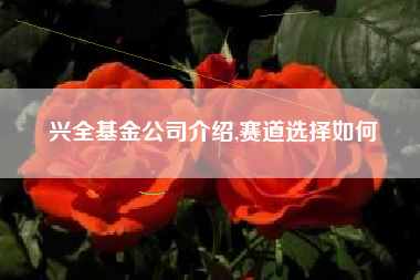 兴全基金公司介绍,赛道选择如何