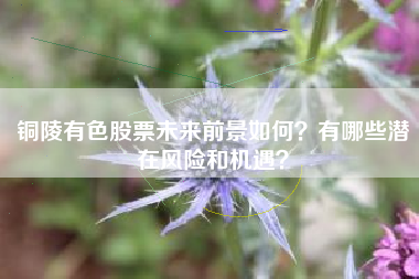 铜陵有色股票未来前景如何？有哪些潜在风险和机遇？