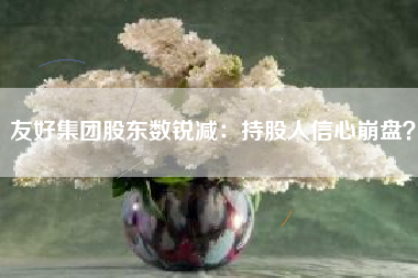 友好集团股东数锐减：持股人信心崩盘？