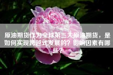 原油期货作为全球第三大原油期货，是如何实现跨越式发展的？影响因素有哪些？