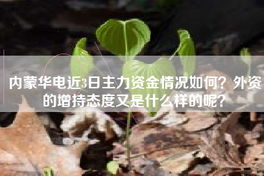 内蒙华电近3日主力资金情况如何？外资的增持态度又是什么样的呢？