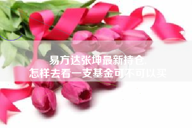 易方达张坤最新持仓,
怎样去看一支基金可不可以买