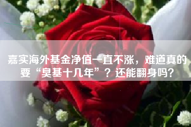 嘉实海外基金净值一直不涨，难道真的要“臭基十几年”？还能翻身吗？