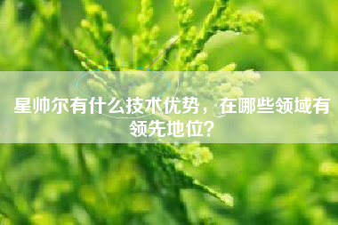 星帅尔有什么技术优势，在哪些领域有领先地位？