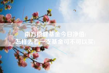 南方稳健基金今日净值(
怎样去看一支基金可不可以买)