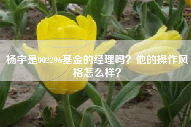 杨宇是002296基金的经理吗？他的操作风格怎么样？