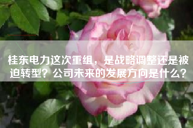 桂东电力这次重组，是战略调整还是被迫转型？公司未来的发展方向是什么？