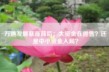 万通发展暴涨背后：大资金在抛售？还是中小资金入局？