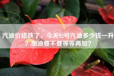 汽油价格跌了，今天92号汽油多少钱一升？加油要不要等等再加？