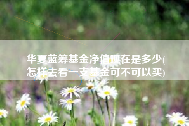华夏蓝筹基金净值现在是多少(
怎样去看一支基金可不可以买)