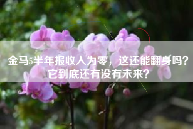 金马5半年报收入为零，这还能翻身吗？它到底还有没有未来？