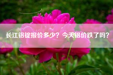 长江铝锭报价多少？今天铝价跌了吗？