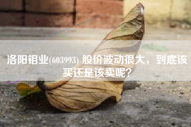 洛阳钼业(603993) 股价波动很大，到底该买还是该卖呢？