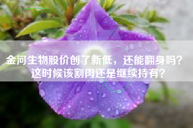 金河生物股价创了新低，还能翻身吗？ 这时候该割肉还是继续持有？